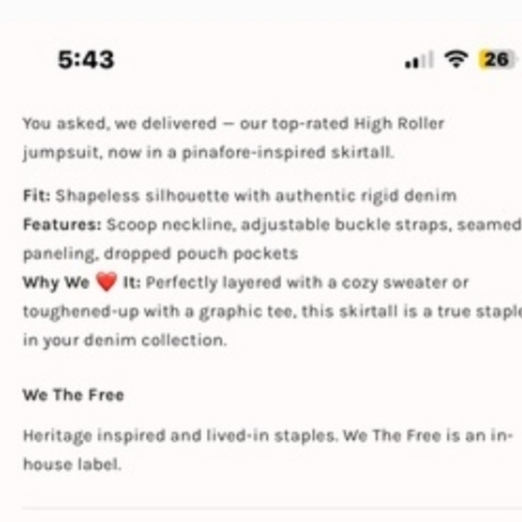 WE THE FREE High Roller Skirtall Large Mineral Black Free People EUC - Picture 4 of 9